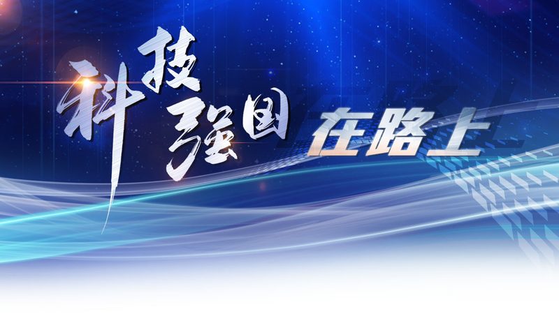 数据安全等级保护二级与三级：关键区别解析